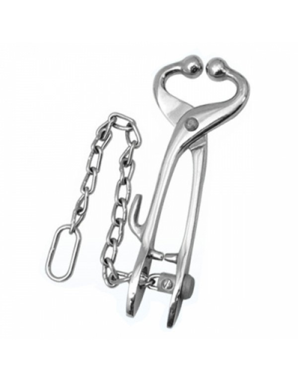 Bull Leader  with Hook And Chain