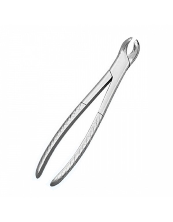 Growing Tooth Forceps (SS)