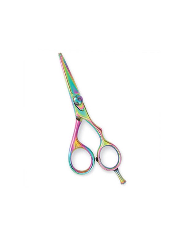 Professional Hair Cutting Scissors