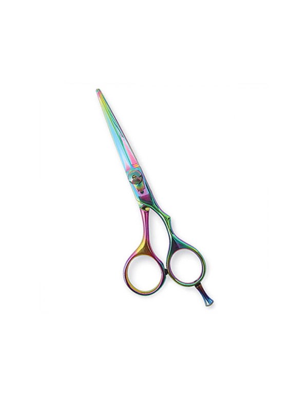 Professional Hair Cutting Scissors