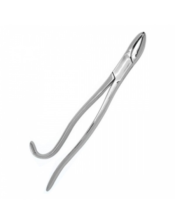 Tooth Forceps (SS)